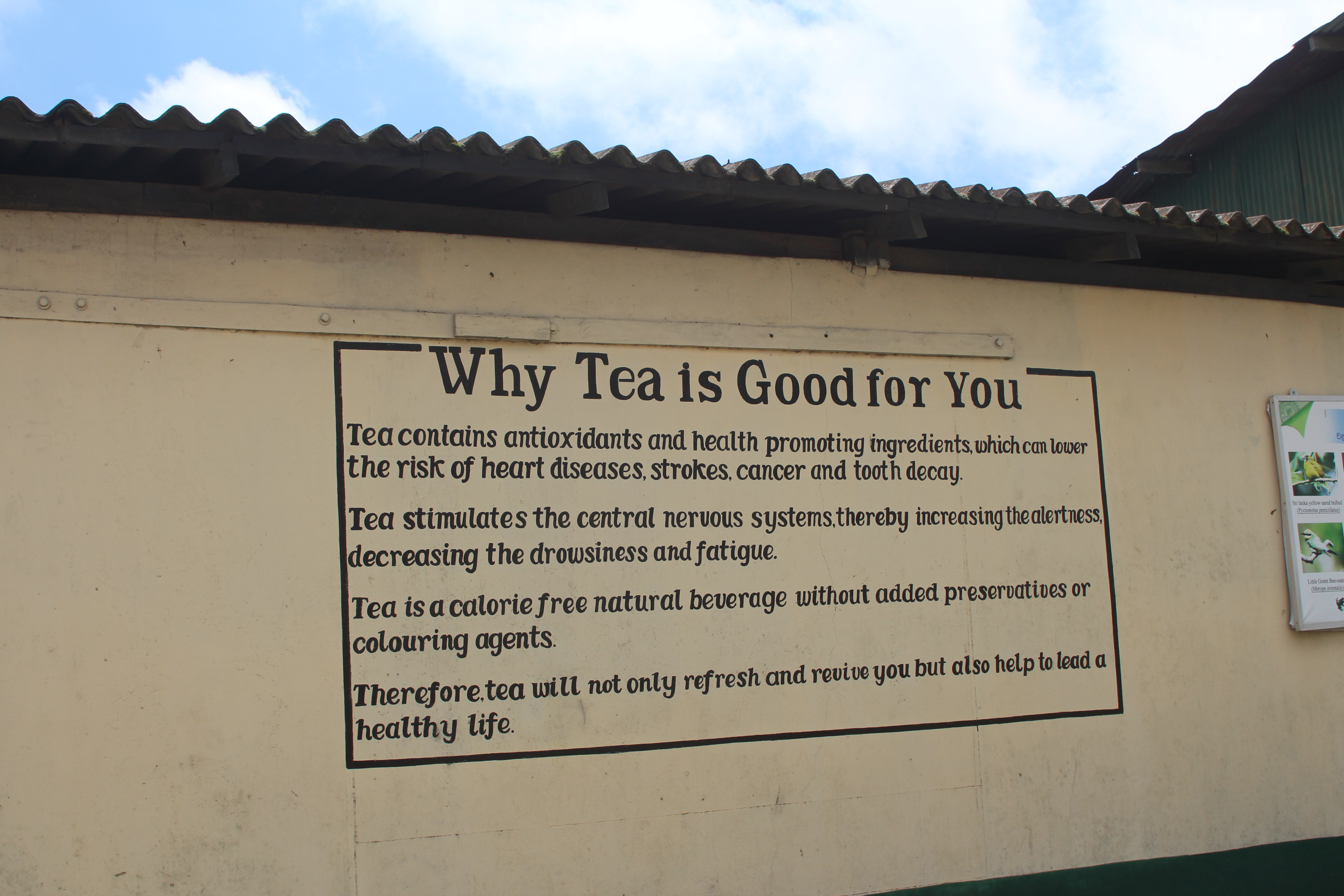 Tea factory – Nuwara Eliya – day 14 – Sri Lanka