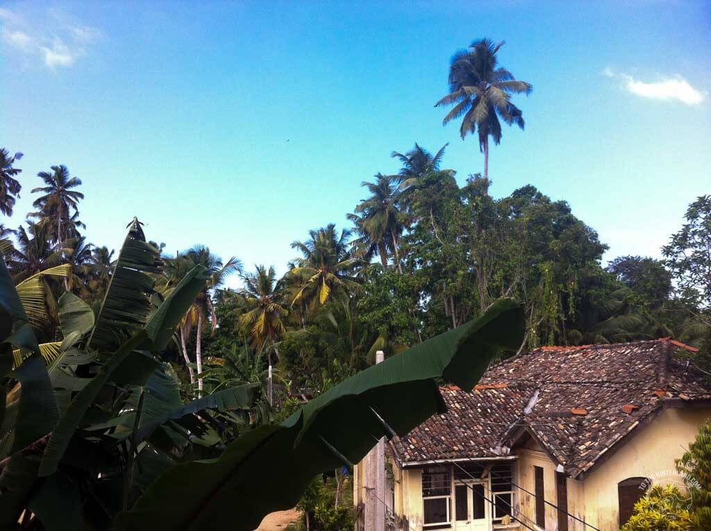 Freiwasser Tauchgang – Tag 4 – Sri Lanka